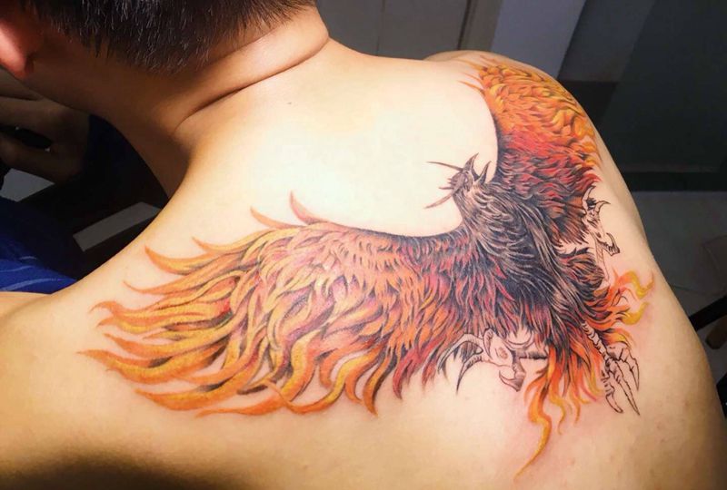 三足金乌纹身图片_背部纹身图案