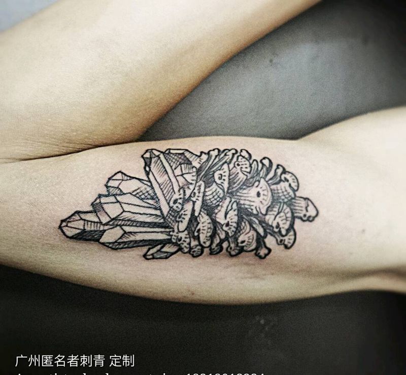 水晶纹身图片_手臂欧美清新几何静物广州成品纹身图案