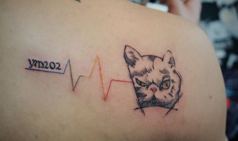 插画猫心电图纹身图片