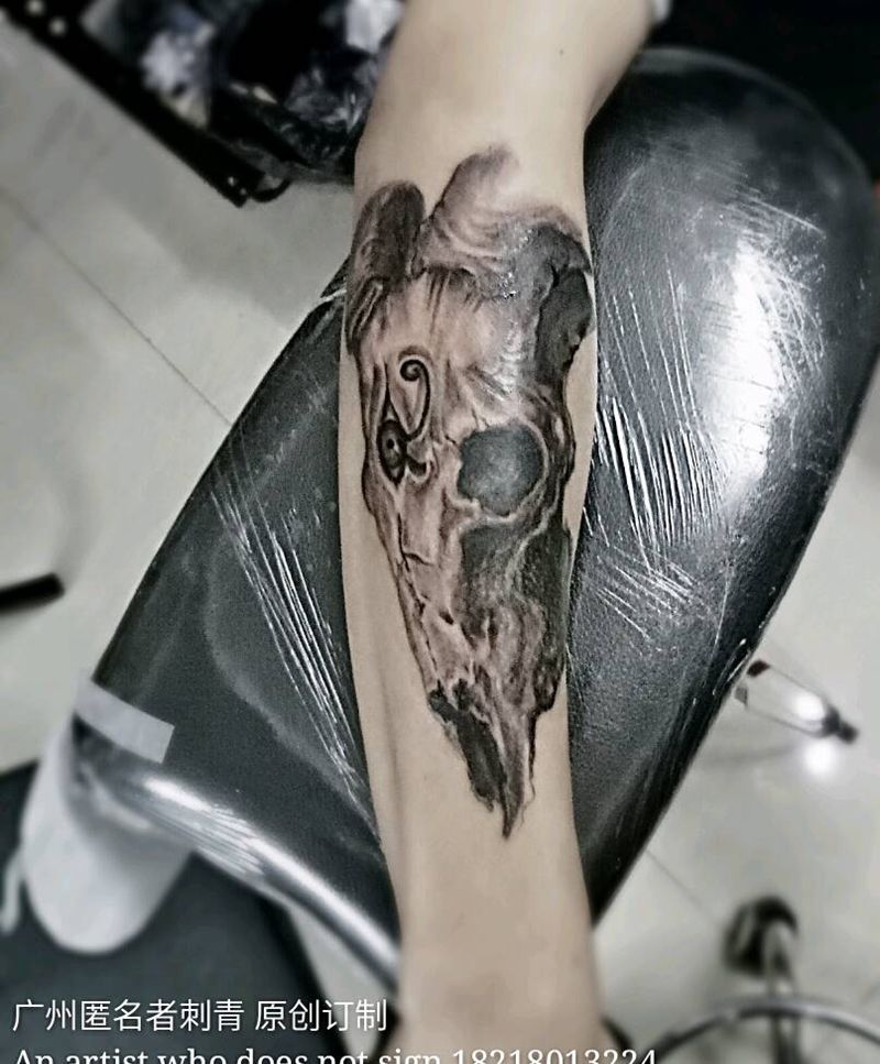 写实羊骨纹身图片_手臂欧美写实静物广州撒旦羊骨成品纹身图案