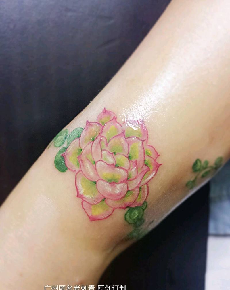 多肉植物手环纹身图片