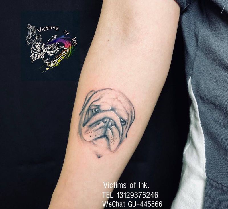 斗牛犬狗狗小动物纹身图片_成品手臂写实动物纹身图案