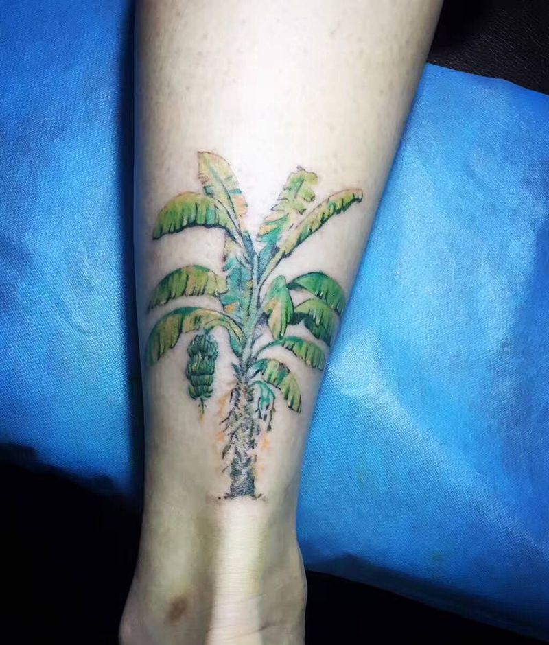香蕉树纹身图片