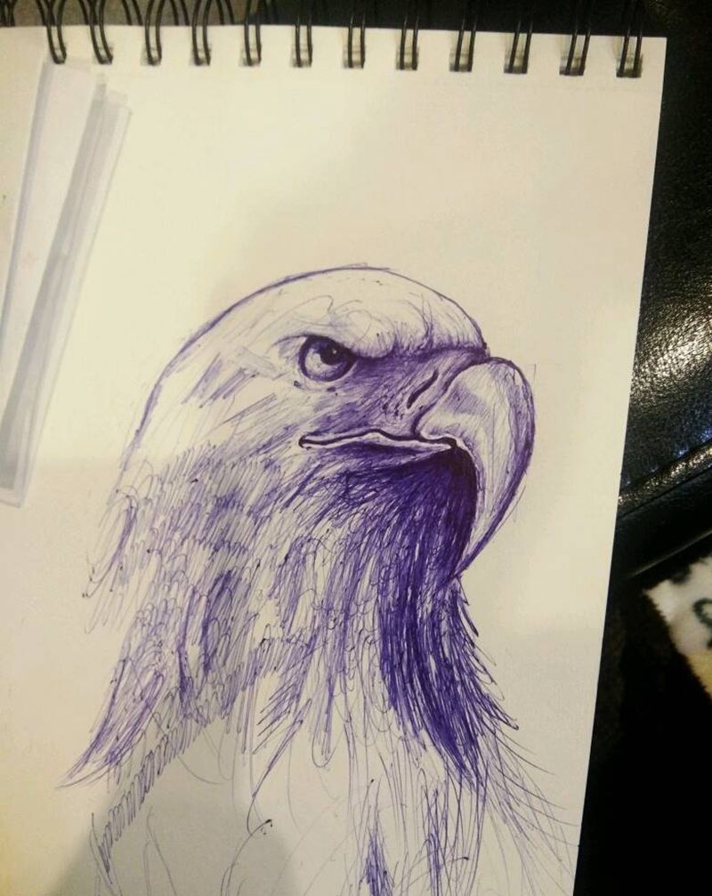 鹰纹身图片_动物原创手稿插画纹身图案