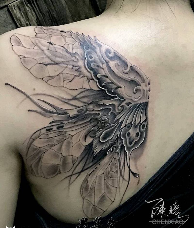 蝴蝶纹身图片