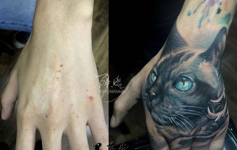 猫-疤遮盖纹身图片_成品手部写实纹身图案