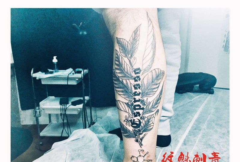 咖啡树纹身图片_成品原创植物字符清新腿部纹身图案