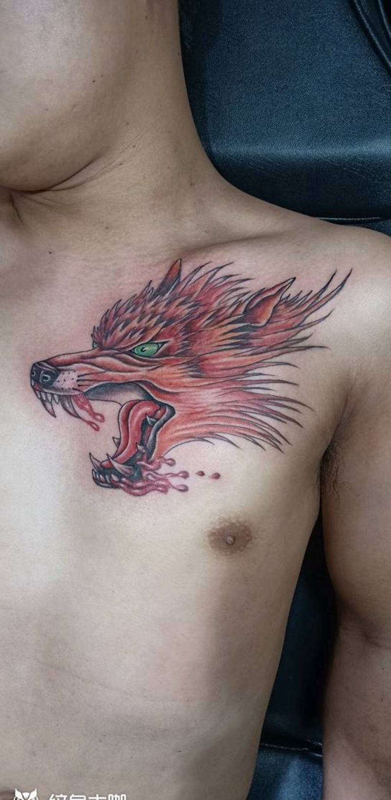 狼头纹身图片_胸部新传统纹身图案