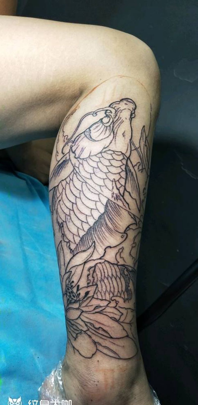 小腿鲤鱼线条纹身图片_腿部新传统线条鲤鱼荷花纹身图案