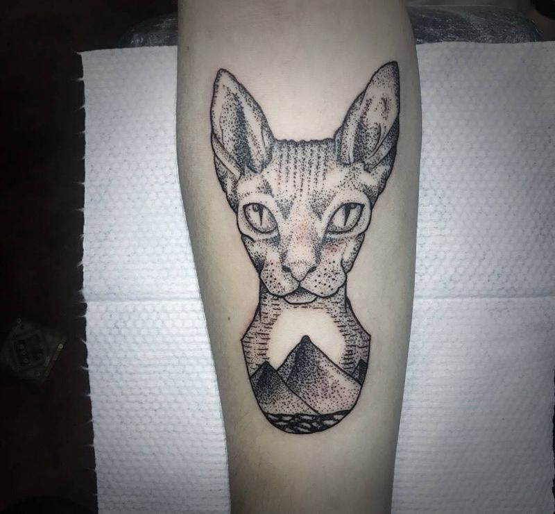 司芬克斯猫纹身图片_手臂点刺纹身图案