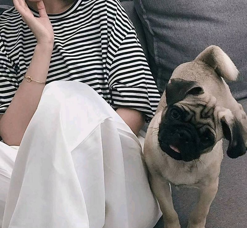 萌宠纹身图片_手臂欧美写实纹身图案