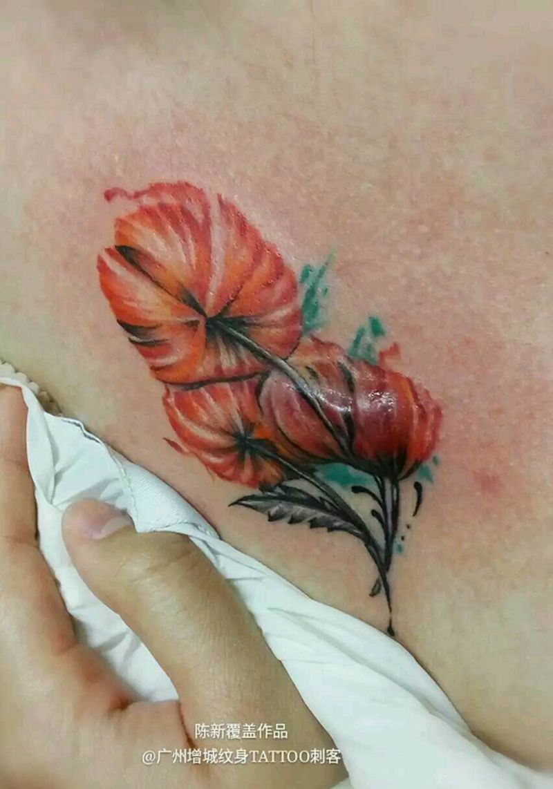 疤痕覆盖，罂粟花纹身图片