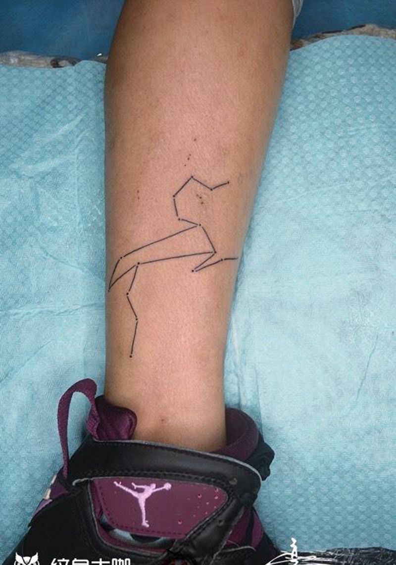 恒星图+几何小象纹身图片