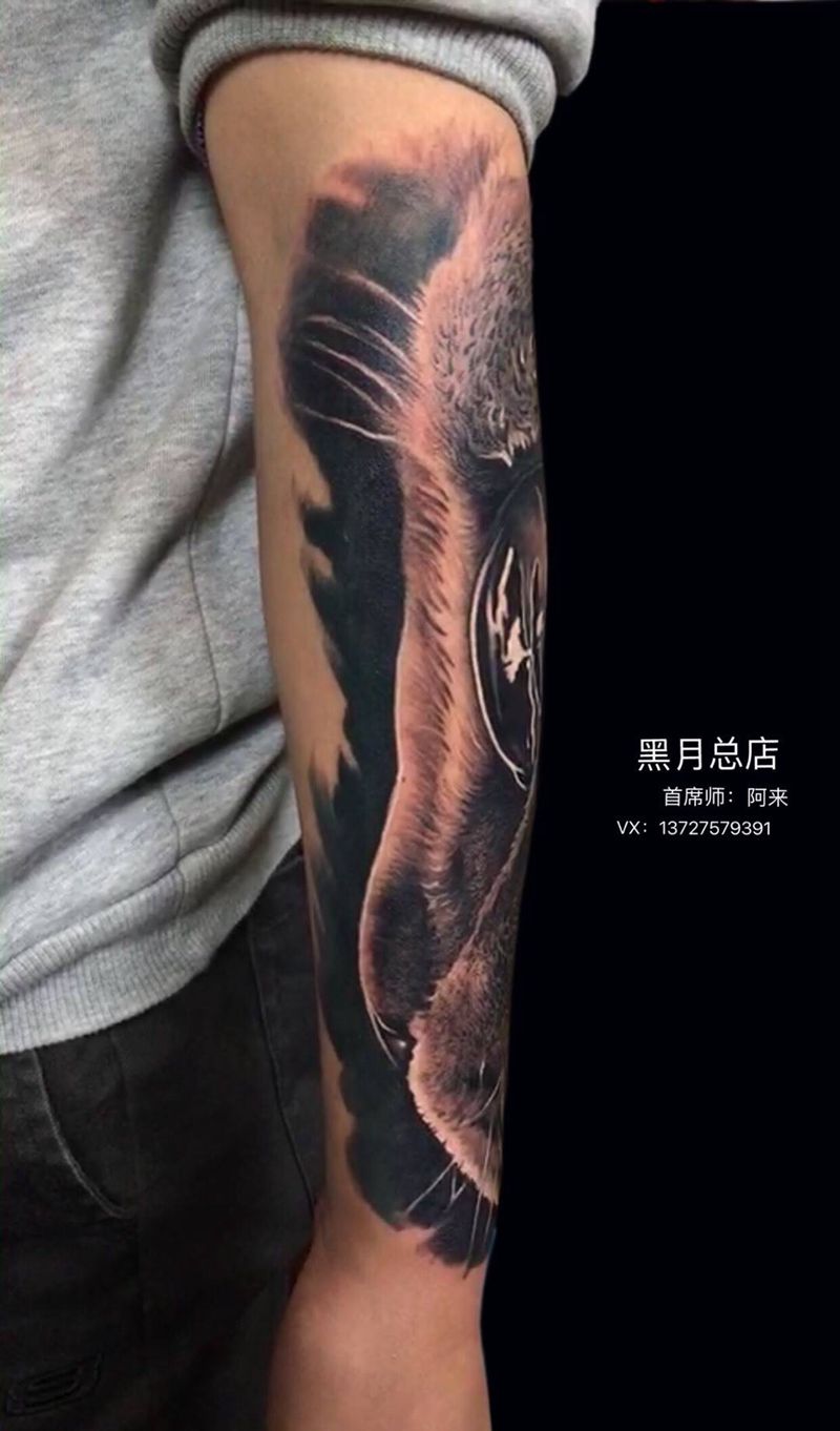 猫纹身图片_成品手臂写实欧美动物纹身图案