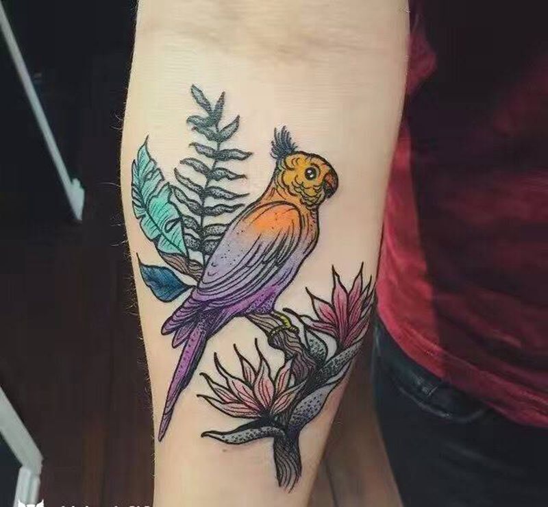 小鸟一枚，哈纹身图片_成品手部手臂清新欧美动物原创纹身图案