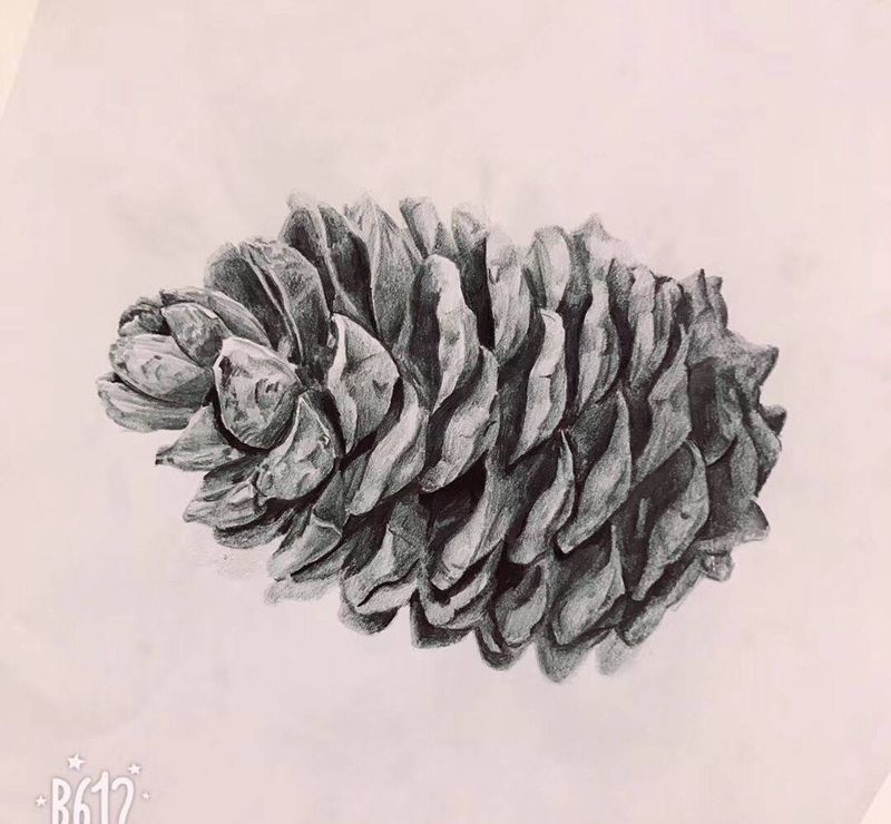 质感练习作品纹身图片