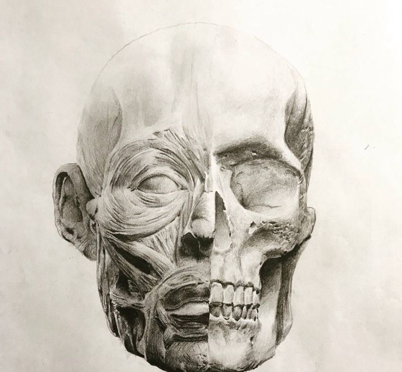 头骨肌肉练习纹身图片