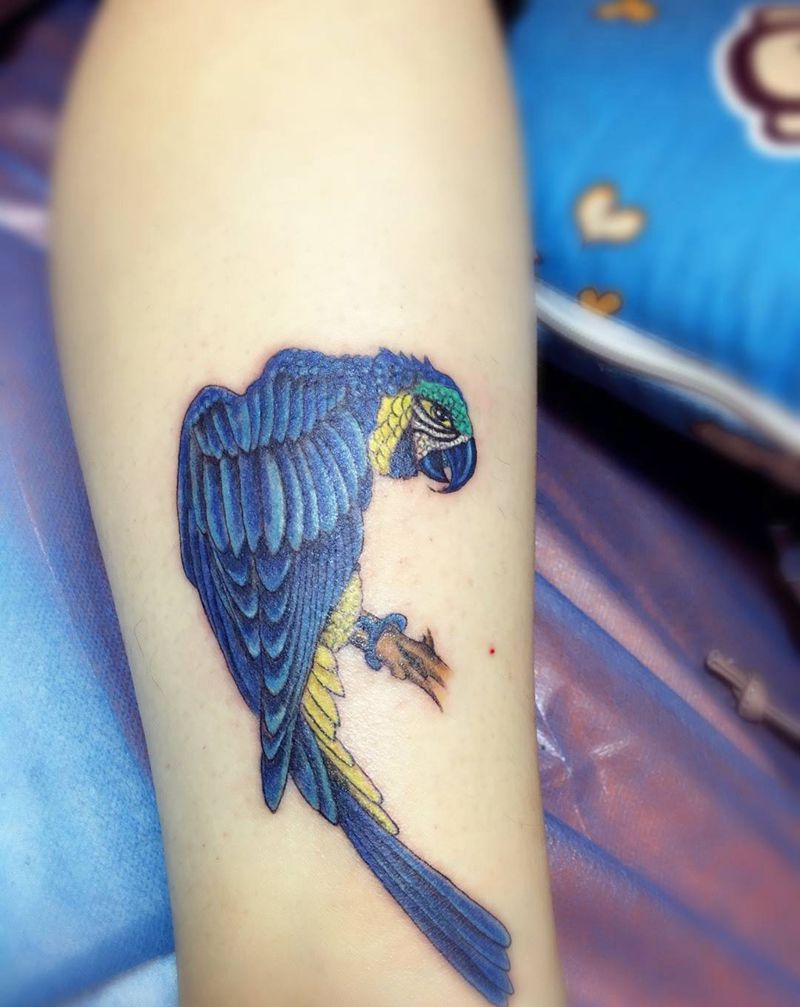 金刚鹦鹉纹身图片_成品腿部清新欧美动物纹身图案