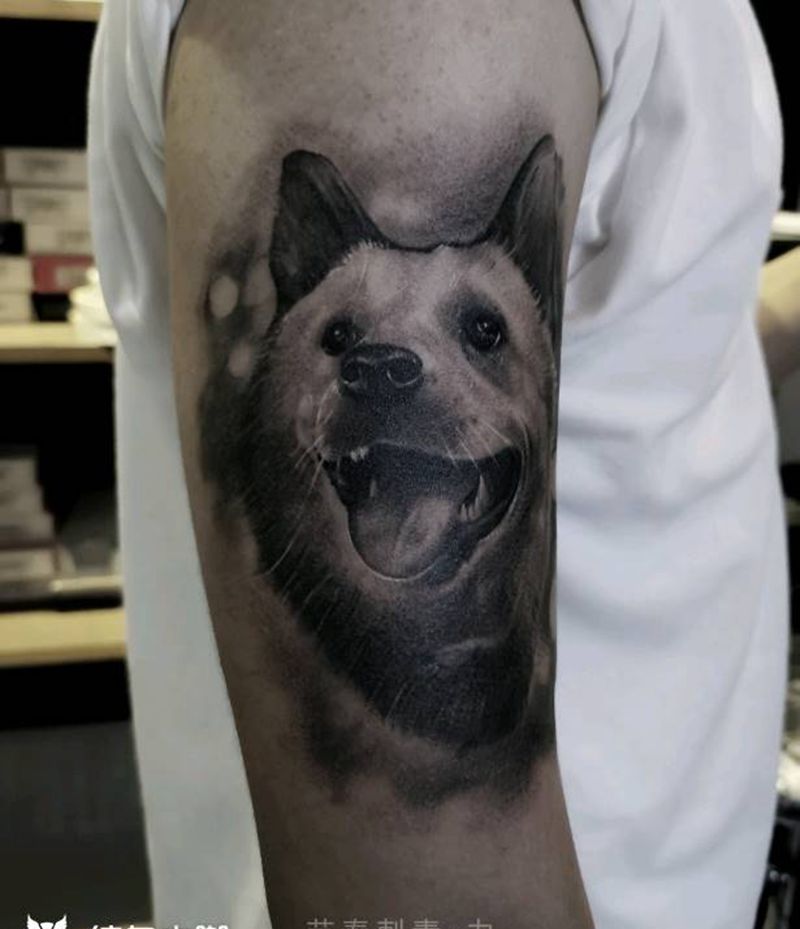 柴犬纹身图片_手臂欧美写实纹身图案