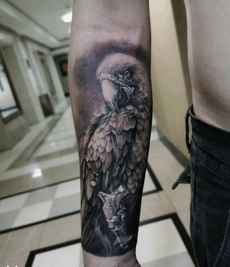 鹦鹉纹身图片_手臂欧美写实纹身图案