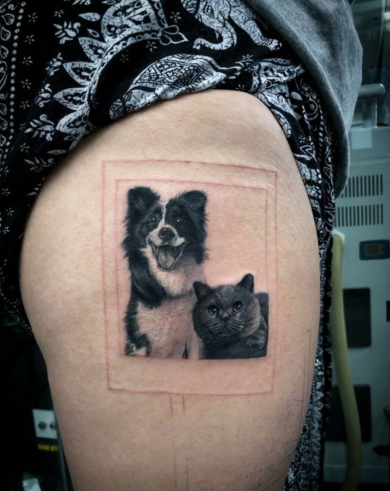 写实边牧英短 未完成纹身图片_欧美写实狗猫动物纹身图案