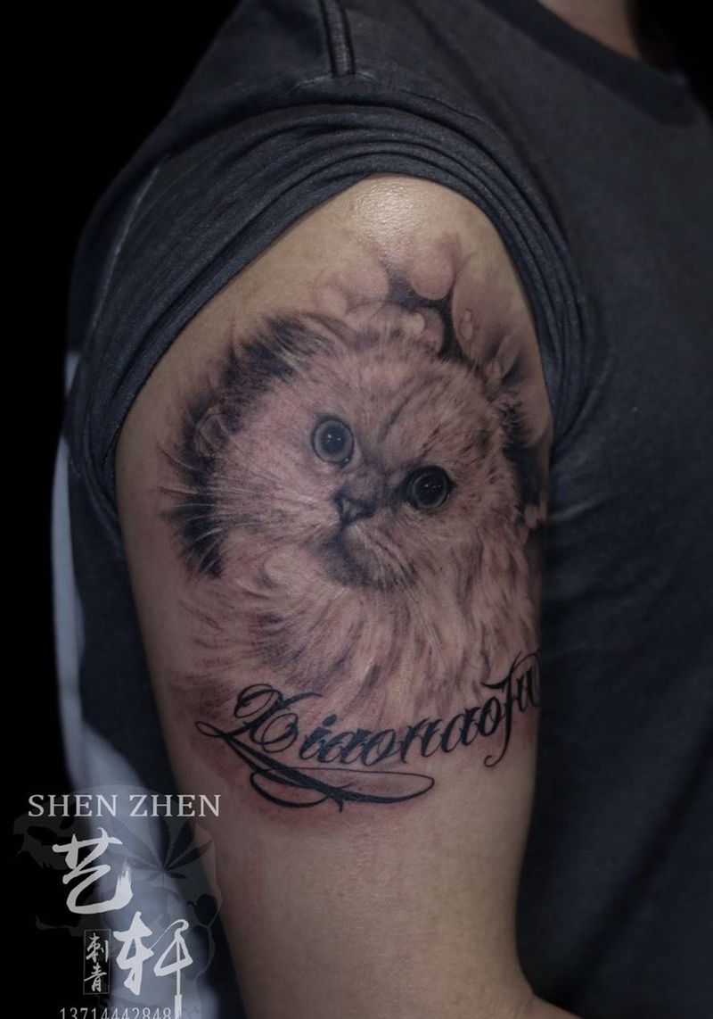 猫纹身纹身图片_成品手臂欧美写实动物手部纹身图案