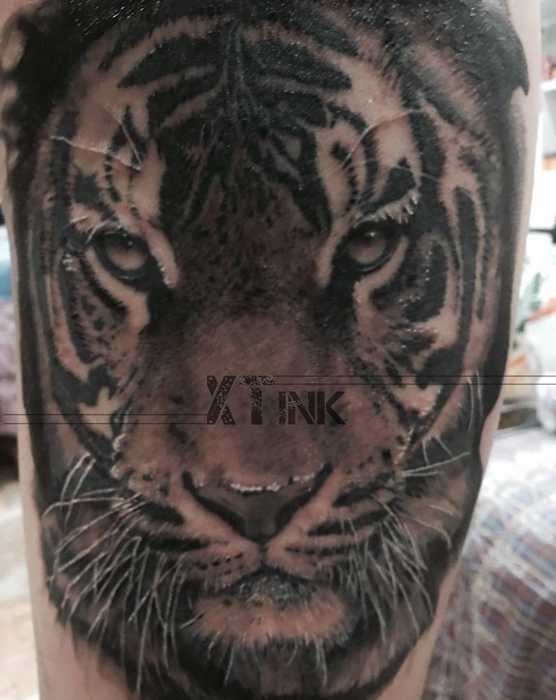 黑灰写实老虎纹身图片
