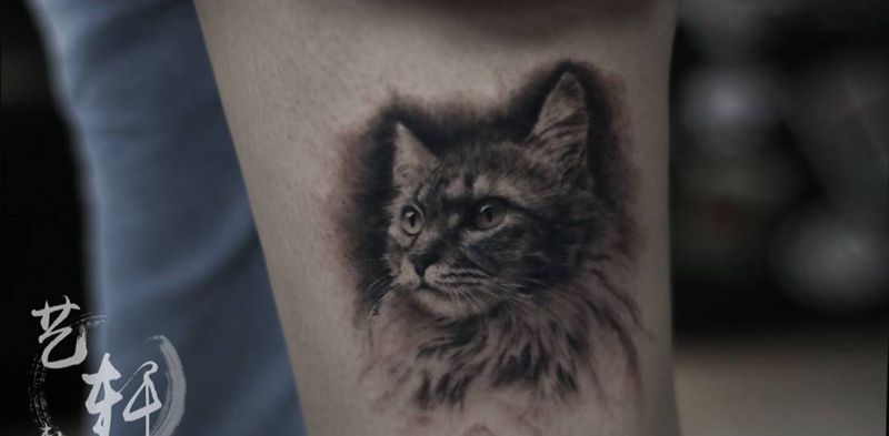 猫纹身图片_成品腿部欧美写实动物纹身图案