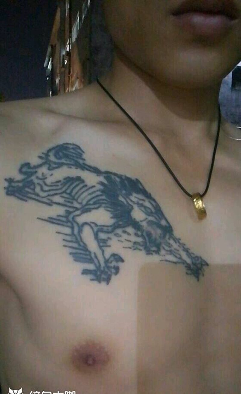 失败纹身遮盖纹身图片_胸部传统动物成品纹身图案