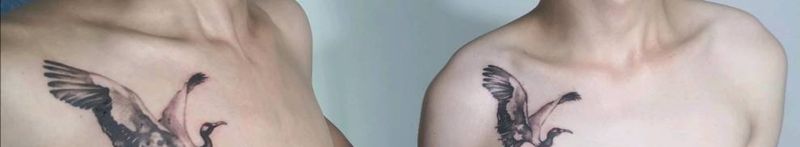 仙鹤纹身图片_胸部水墨纹身图案