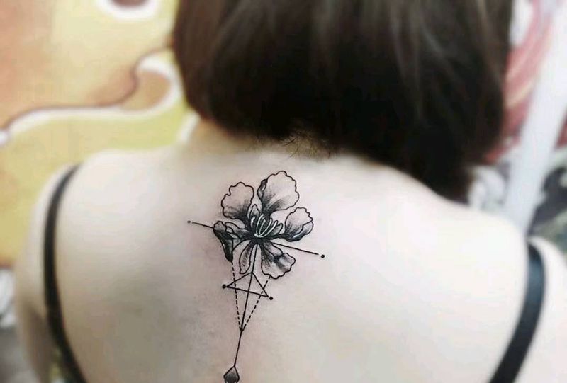 罂粟花纹身图片