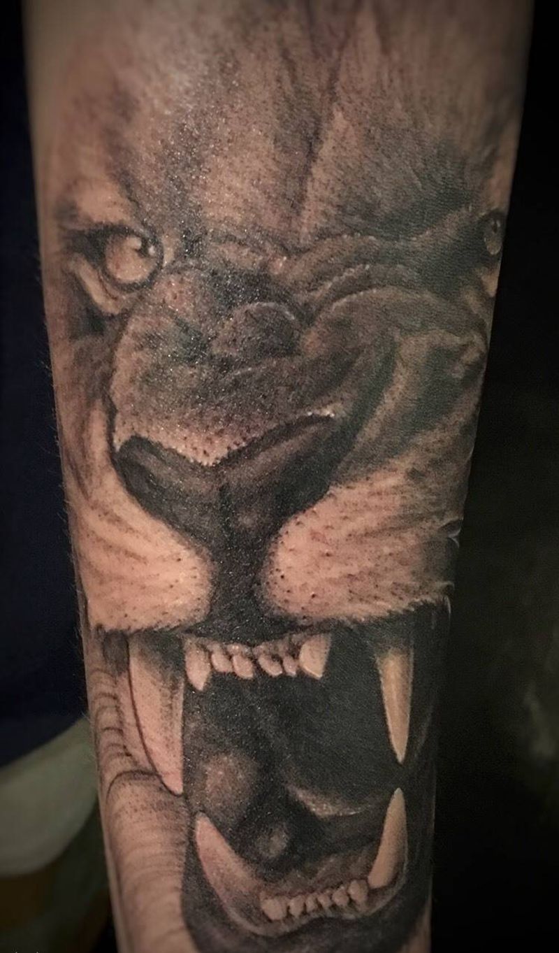 写实狮子纹身图片