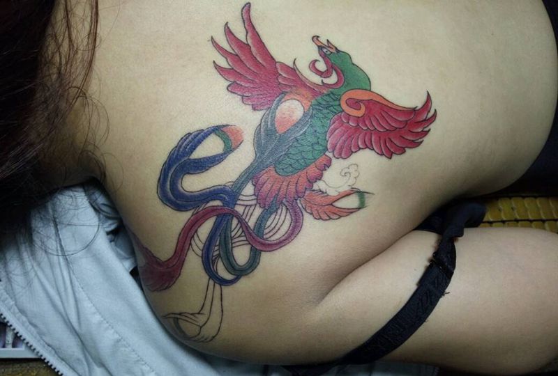 凤凰(未完成)纹身图片