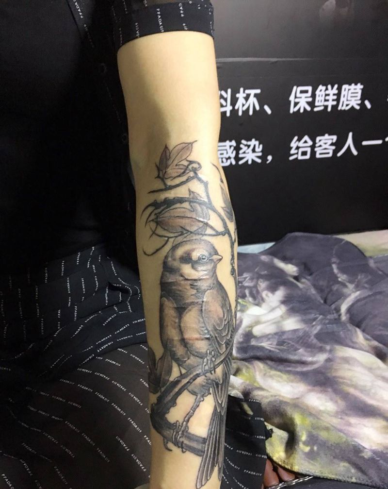 小鸟盖疤痕纹身图片_手臂老传统纹身图案