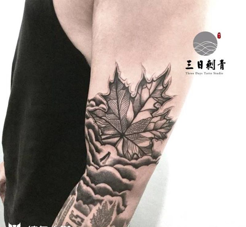 枫叶纹身图片