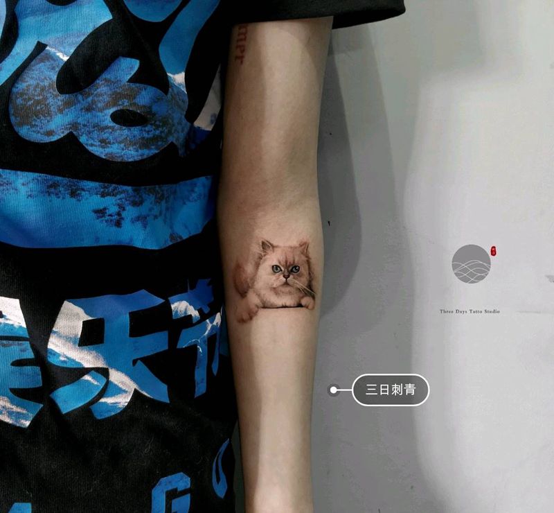 喵纹身图片
