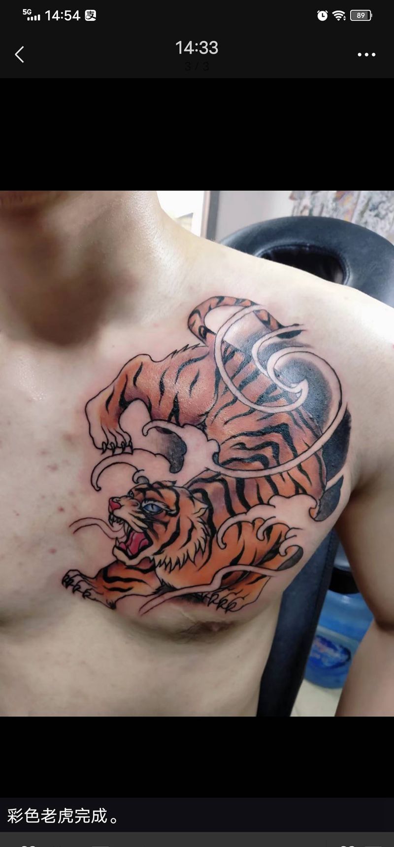 老虎纹身图片_胸部纹身图案