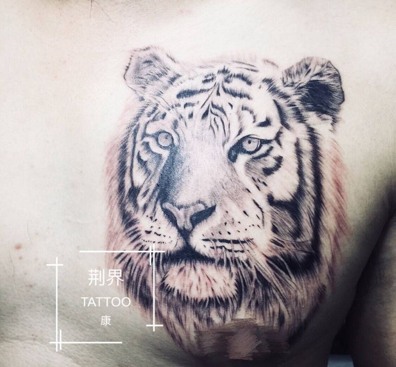 老虎纹身图片_胸部写实动物成品纹身图案