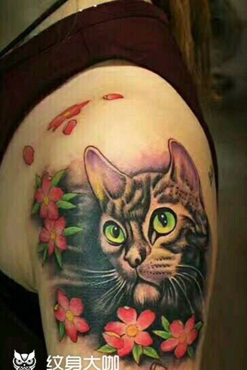 猫纹身图片