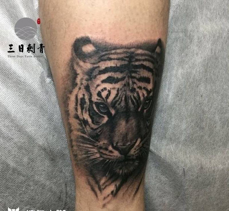 老虎纹身图片