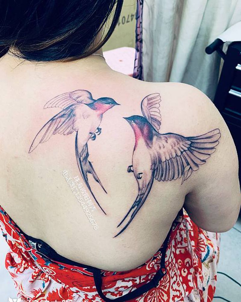 燕子纹身图片_肩部纹身图案