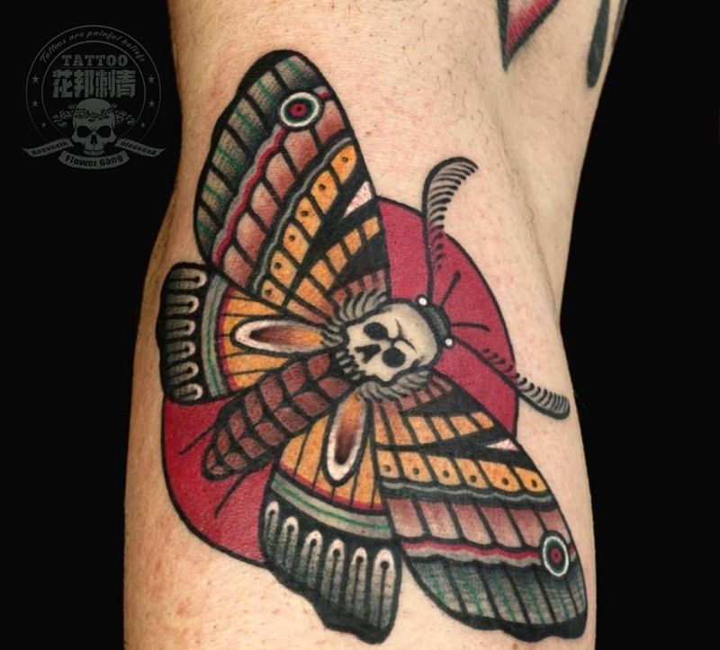 【骷髅飞蛾】纹身图片_手部Old SchoolNew School飞蛾纹身图案