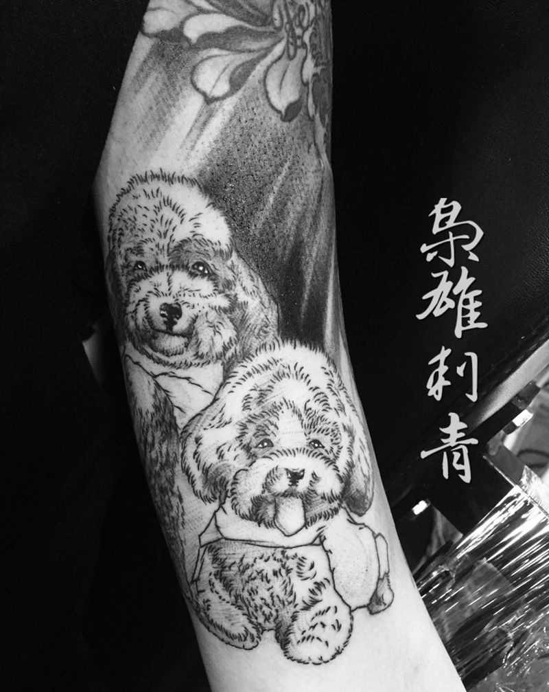 【泰迪】纹身图片_成品手臂写实动物纹身图案
