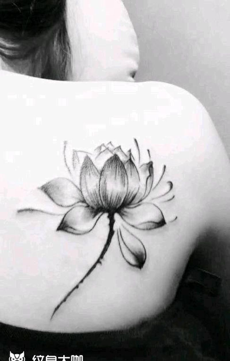 莲花纹身图片