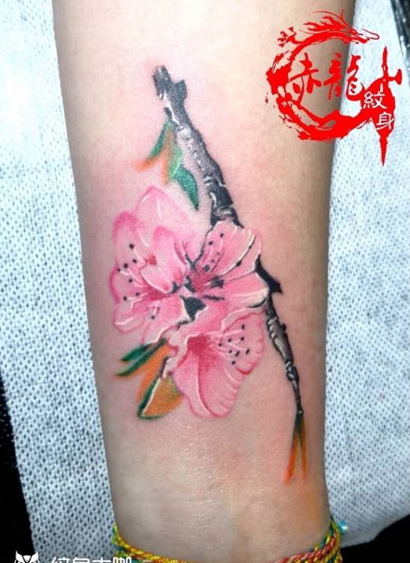 梅花纹身图片_手臂新传统纹身图案