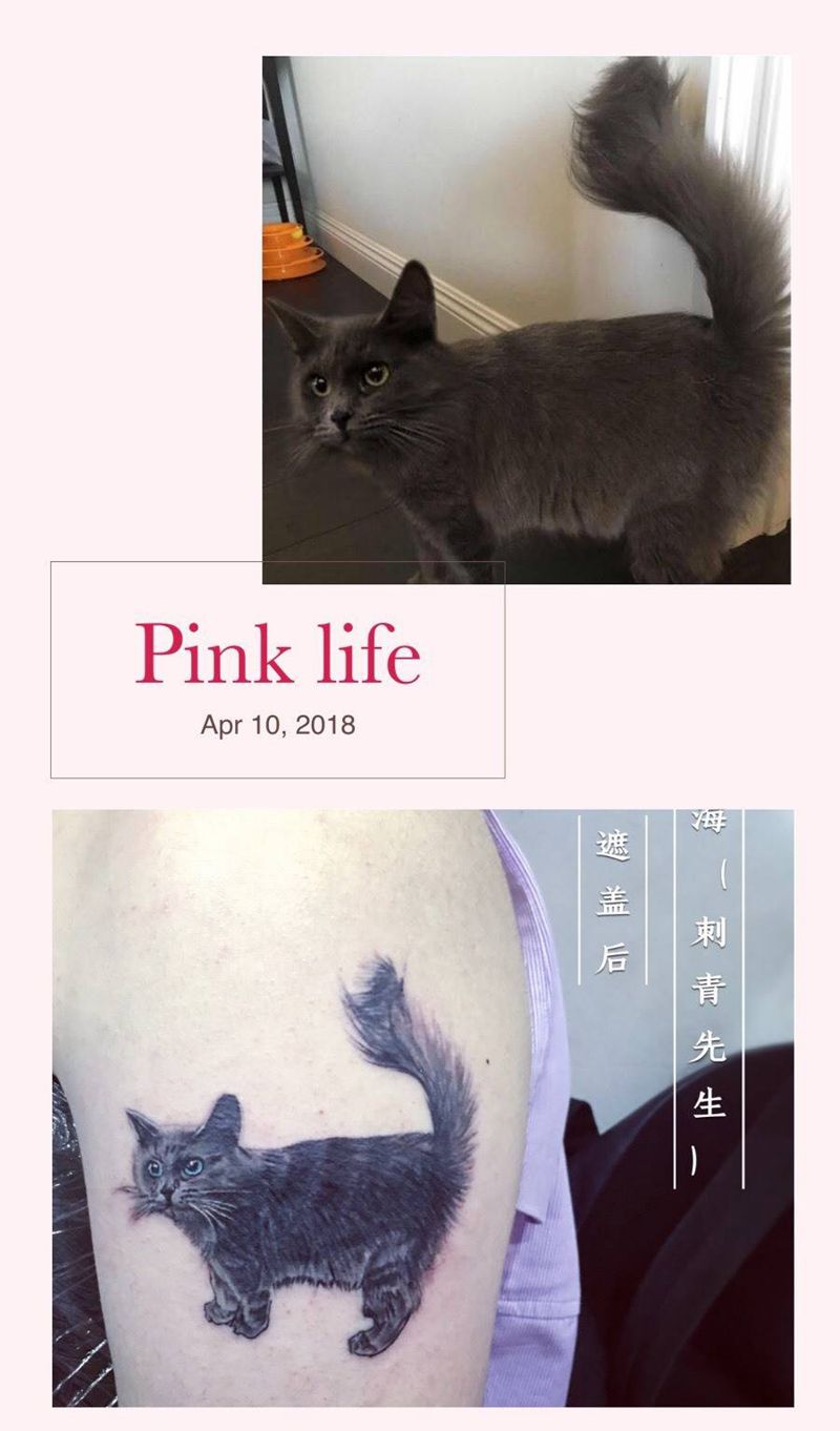 （猫）纹身图片_成品写实纹身图案