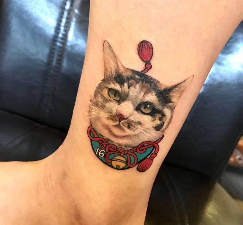 彩色写实猫纹身图片
