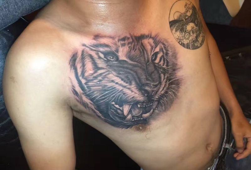 大猫纹身图片_胸部欧美写实动物老虎纹身图案