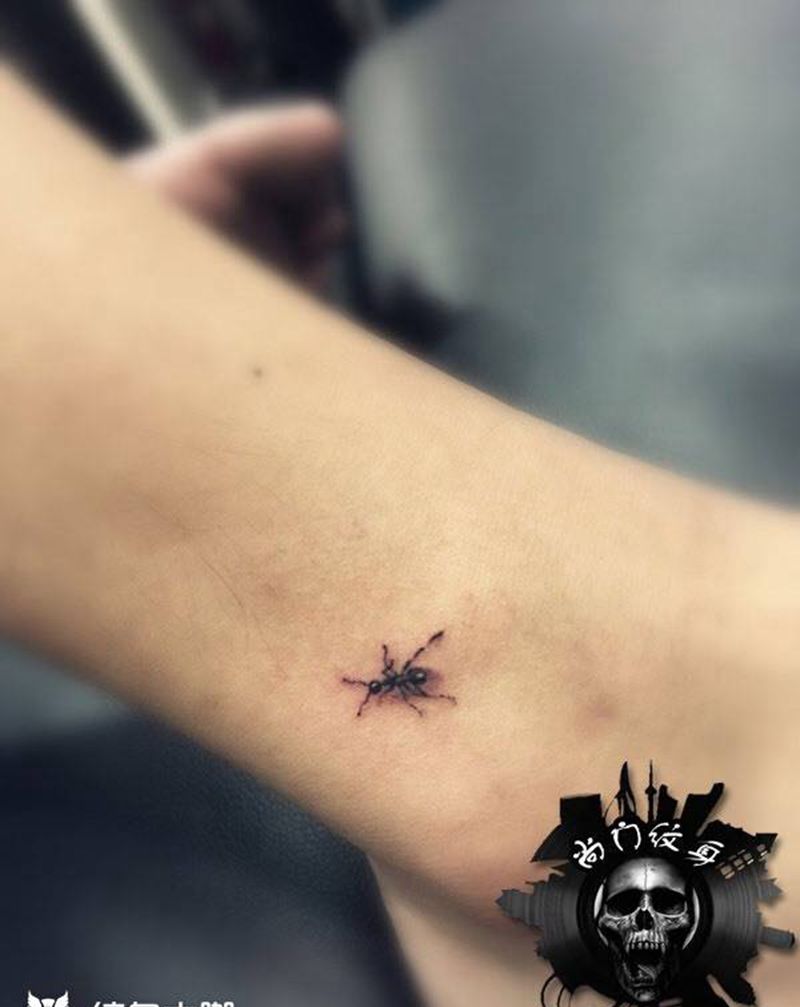 蚂蚁纹身图片