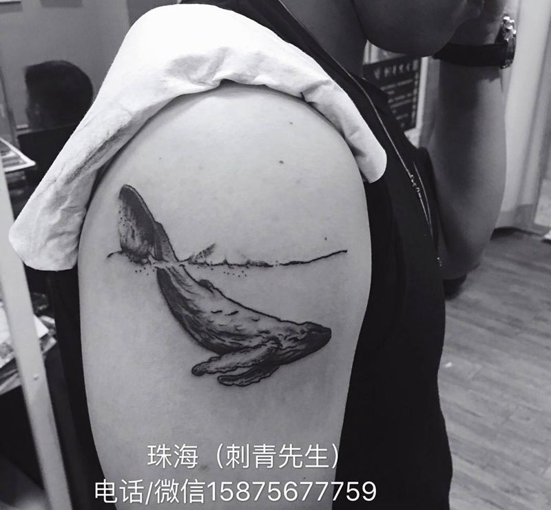 鲸纹身图片_成品动物纹身图案